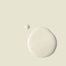 Load image into Gallery viewer, Annie Sloan Satin Paint – Original