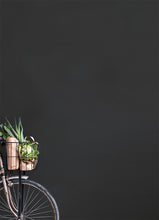 Load image into Gallery viewer, Annie Sloan Wall Paint – Graphite