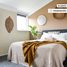 Load image into Gallery viewer, Annie Sloan Wall Paint – Canvas