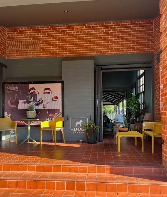Entrance to Coco & Raj with yellow outdoor chairs and terracotta steps
