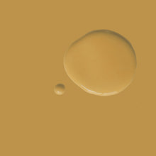 Load image into Gallery viewer, Annie Sloan Satin Paint – Carnaby Yellow

